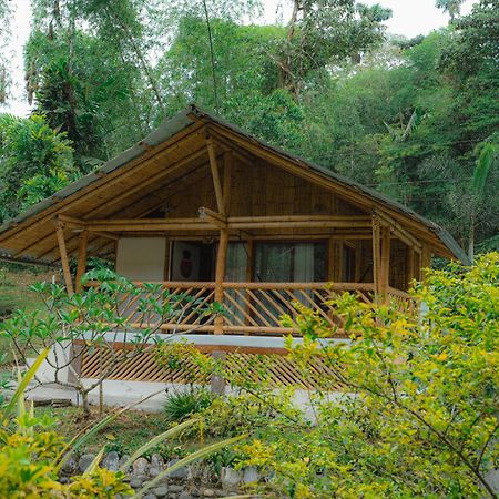 Finca Las Palmas Ecolodge Puyo Eksteriør billede