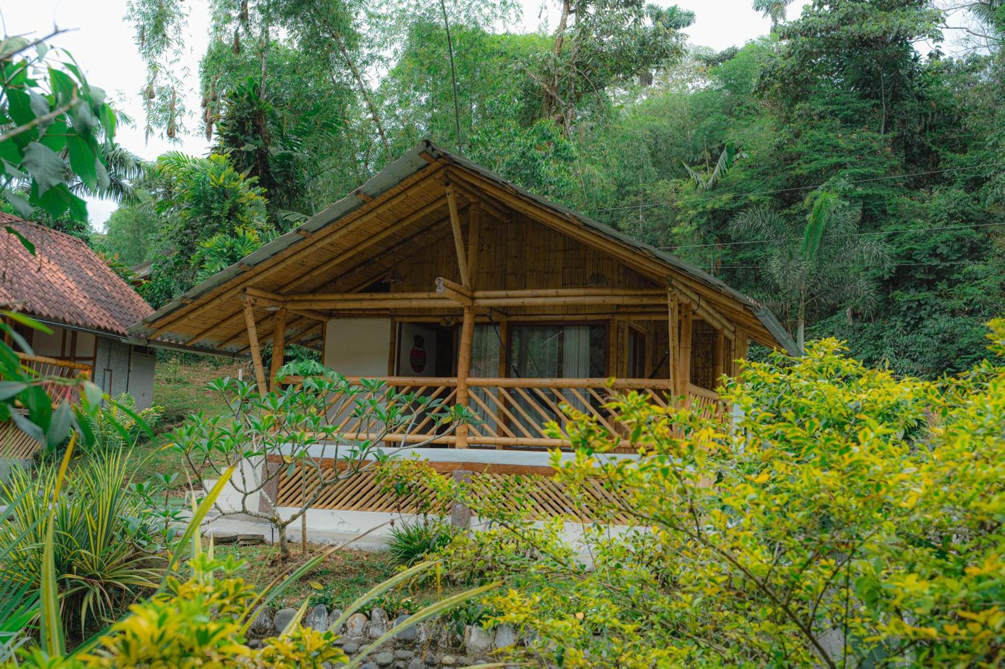 Finca Las Palmas Ecolodge Puyo Eksteriør billede