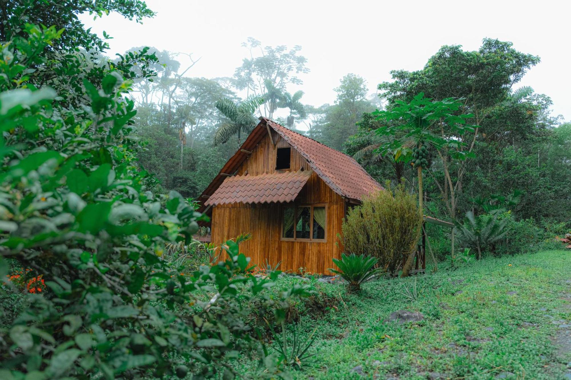 Finca Las Palmas Ecolodge Puyo Eksteriør billede