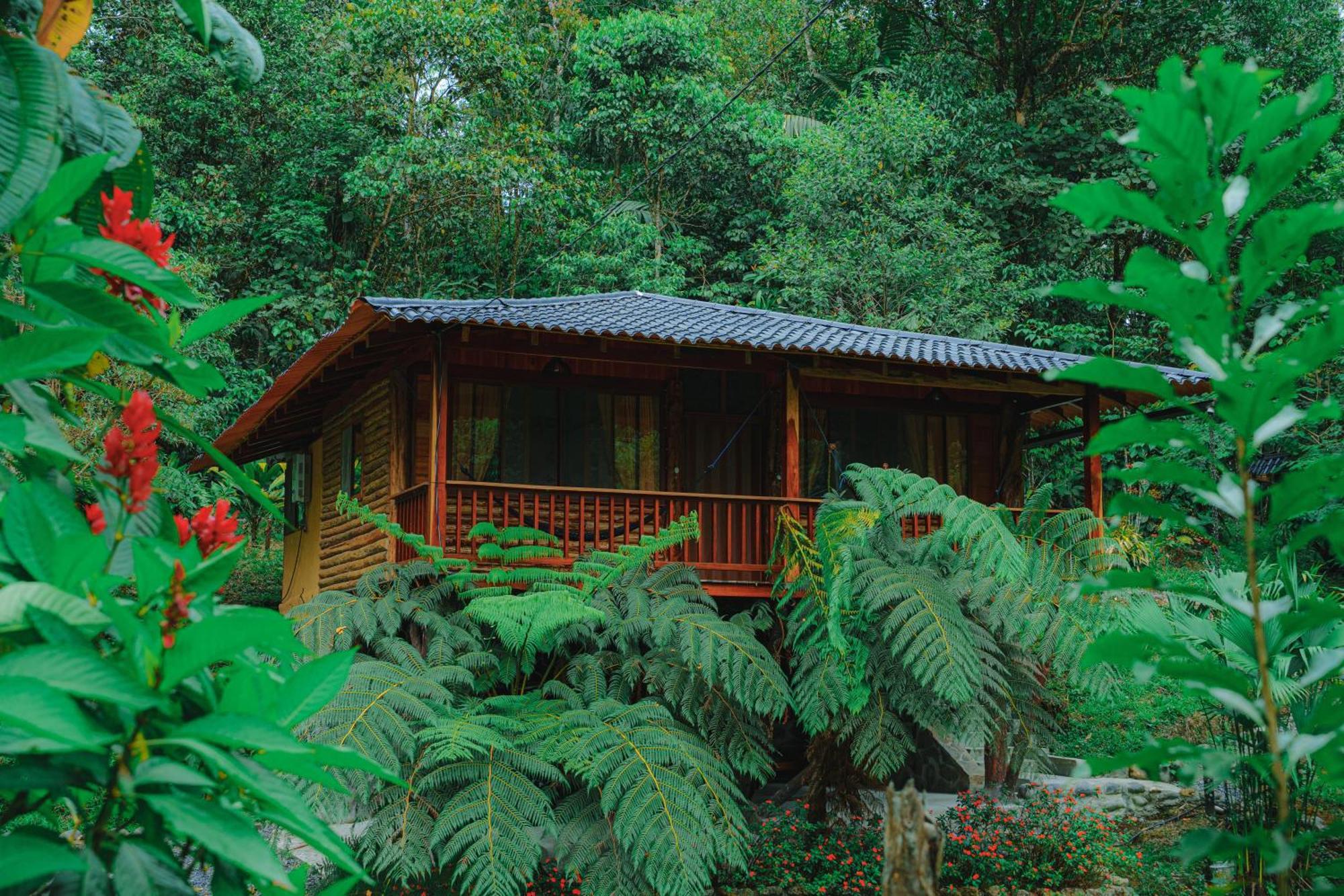 Finca Las Palmas Ecolodge Puyo Eksteriør billede