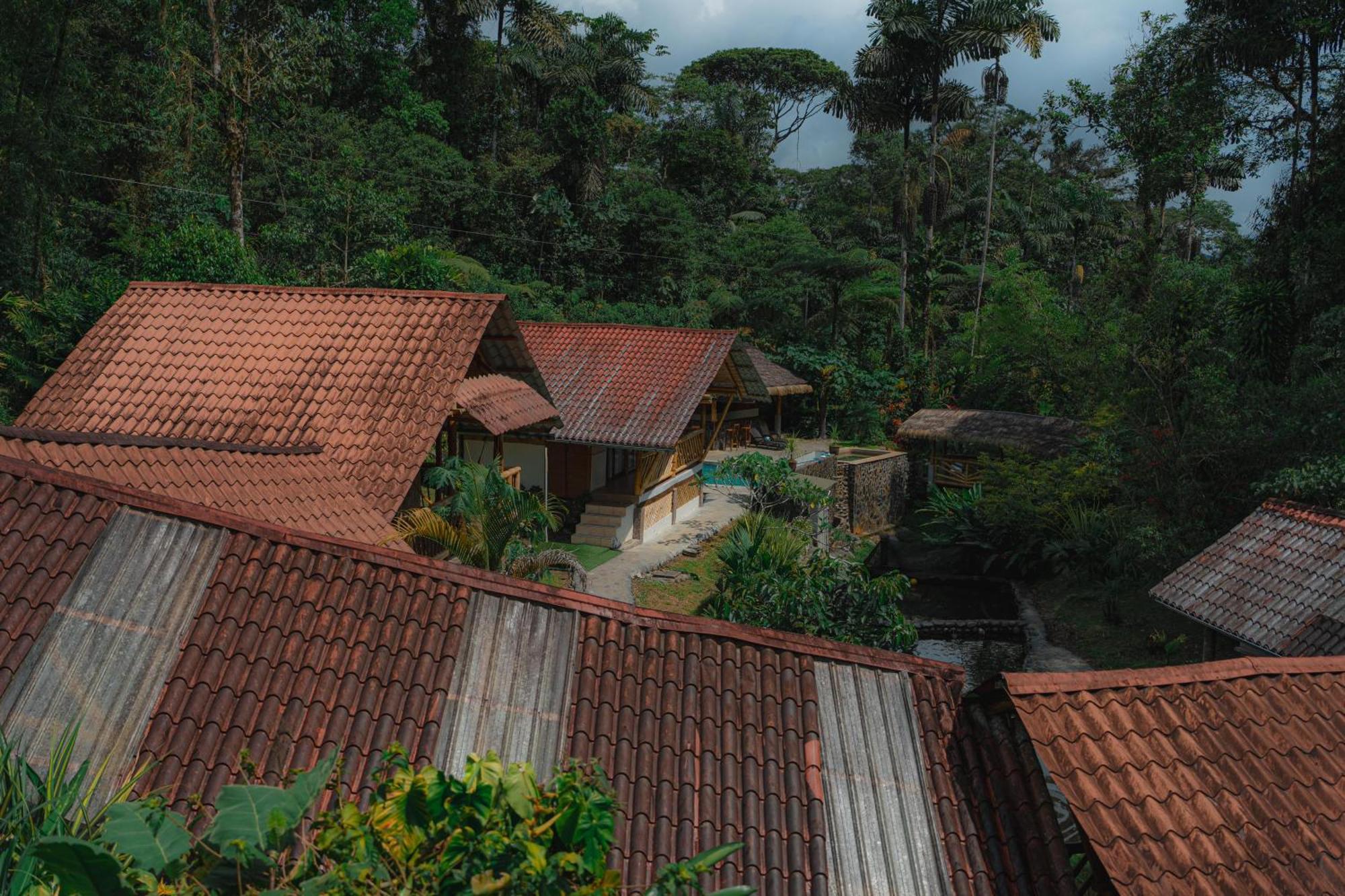 Finca Las Palmas Ecolodge Puyo Eksteriør billede