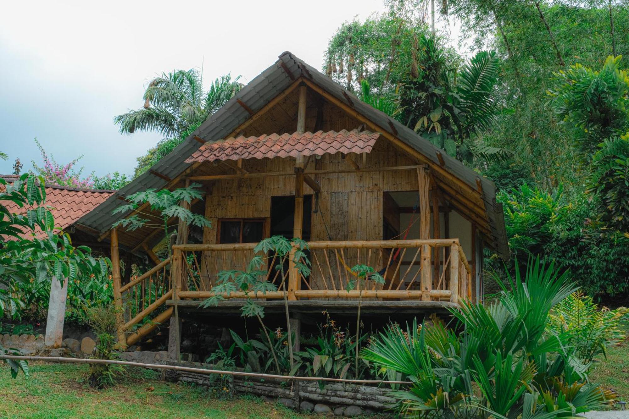 Finca Las Palmas Ecolodge Puyo Eksteriør billede