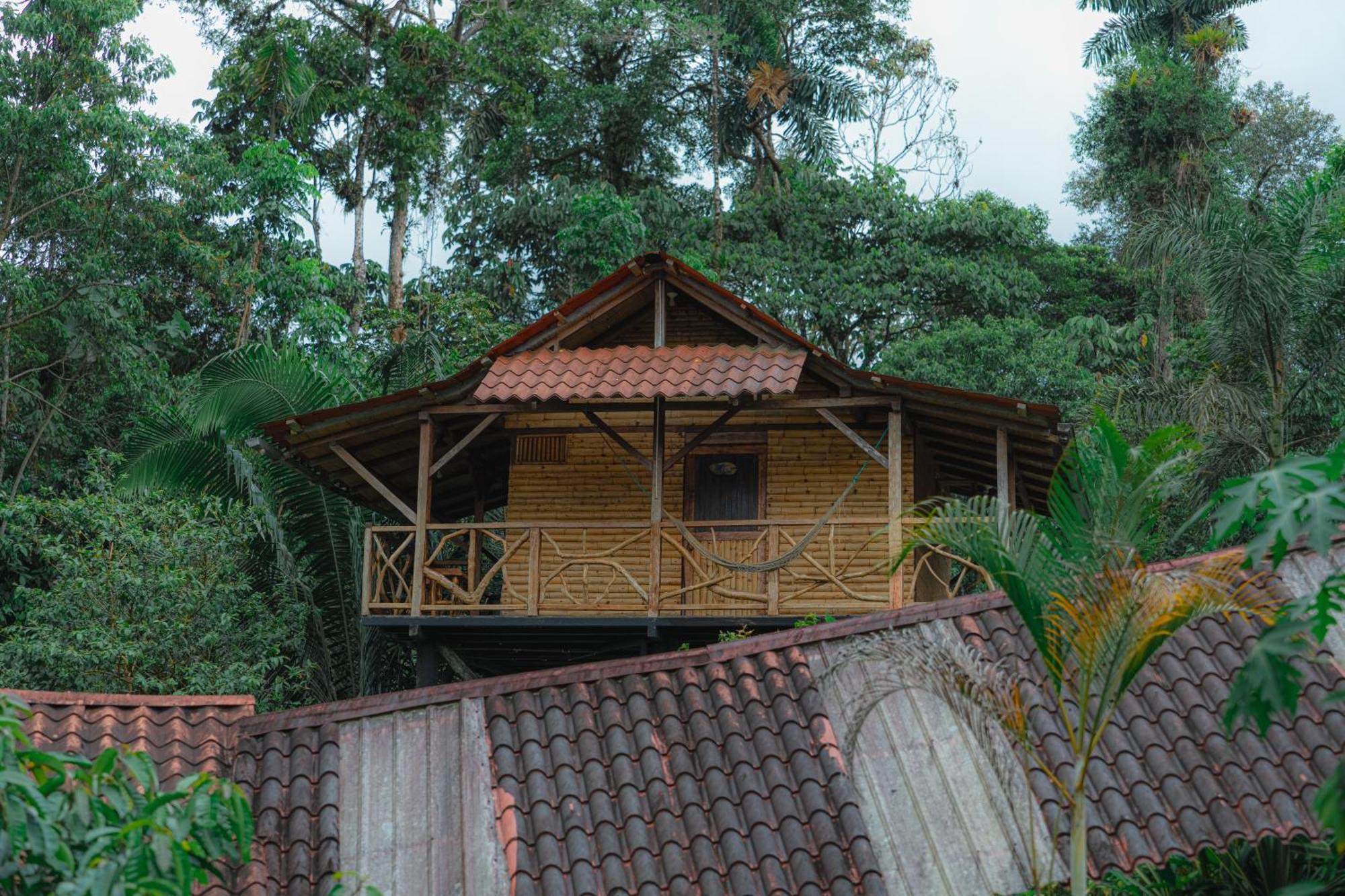 Finca Las Palmas Ecolodge Puyo Eksteriør billede