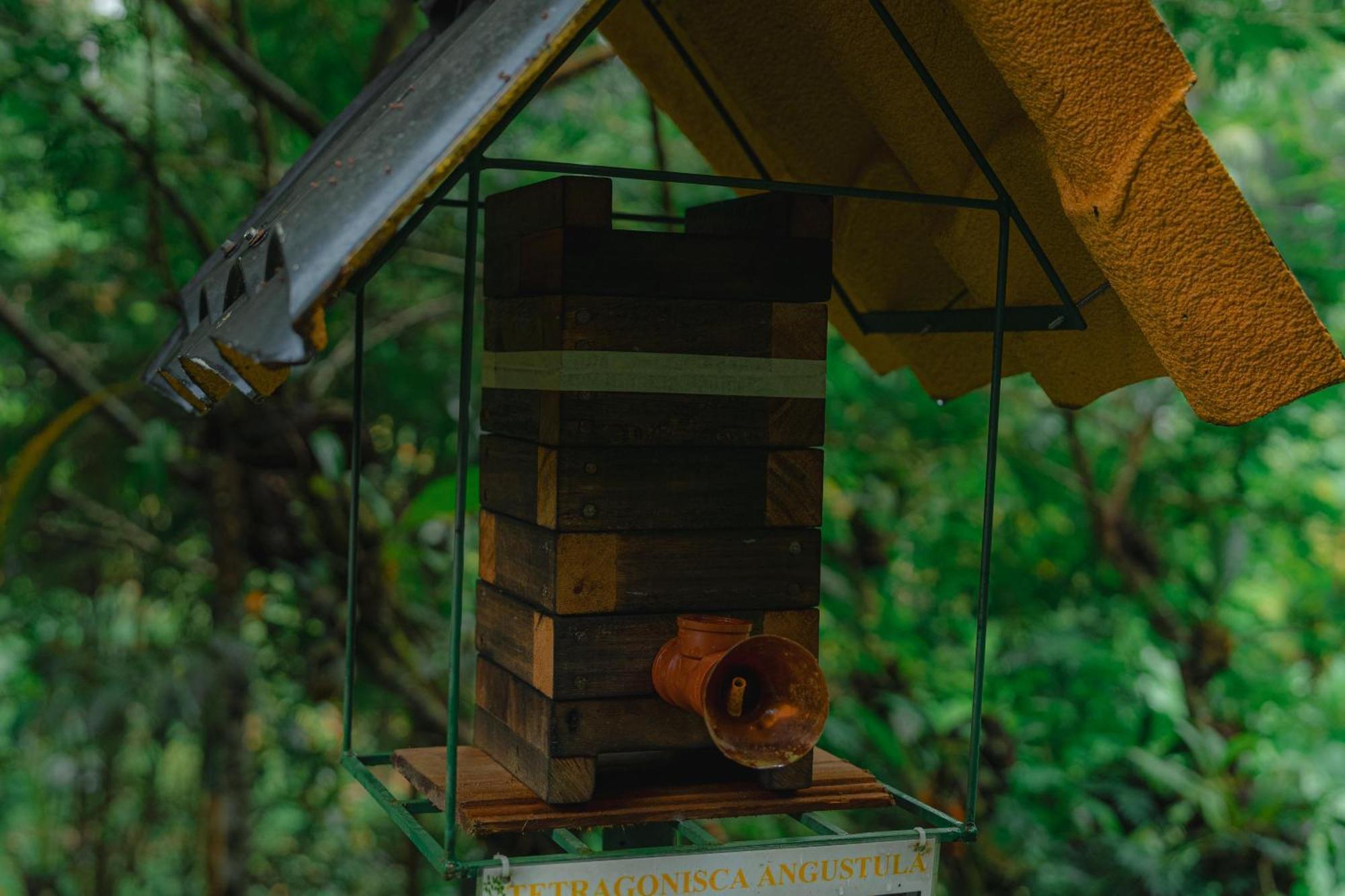 Finca Las Palmas Ecolodge Puyo Eksteriør billede