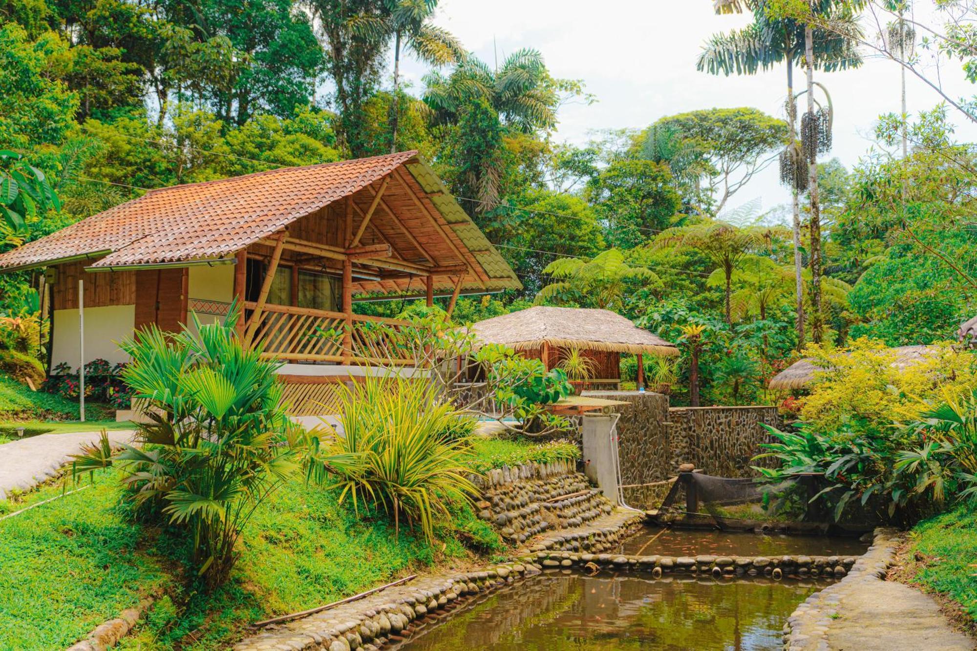 Finca Las Palmas Ecolodge Puyo Eksteriør billede