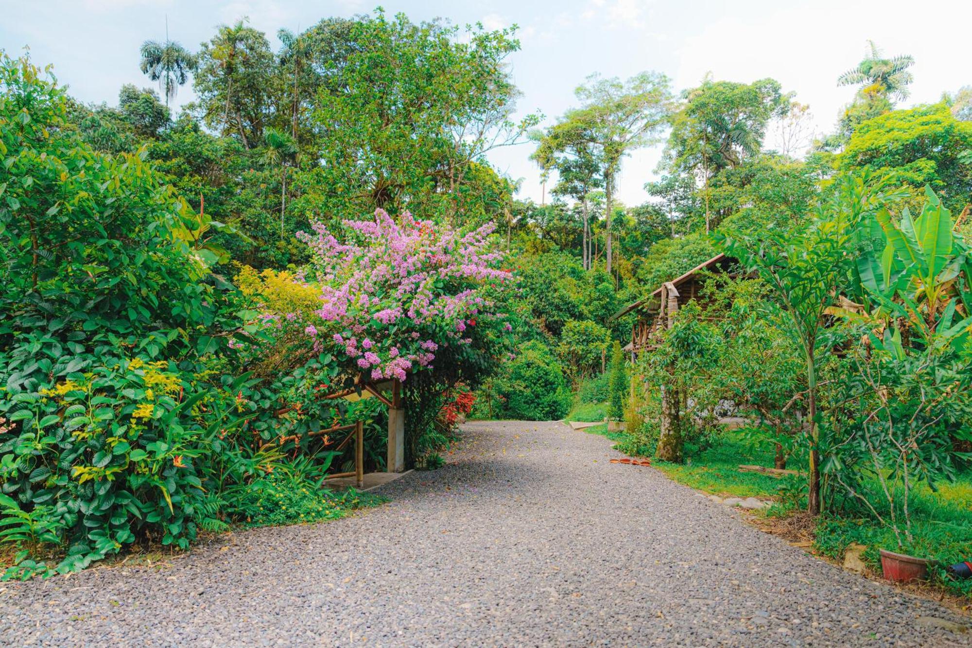 Finca Las Palmas Ecolodge Puyo Eksteriør billede